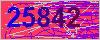 驗證碼 Validate Code